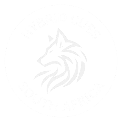  Hybrid Cues & Accessories